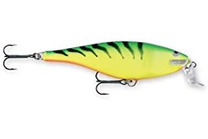 31QOcZooL4L._AC_UL320_