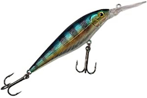 Mejor Cebo Para Lubina 41bYFMO2ABL._AC_UL320_