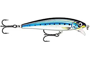 Rapala Sardina 41lBkoGDjUS._AC_UL320_