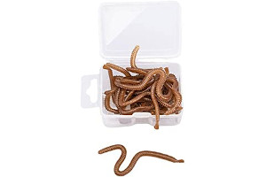 51NE17KnykL._AC_UL320_