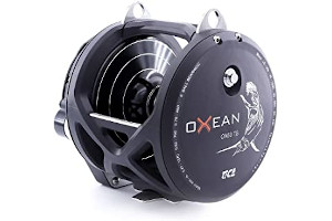 51ZypnUs4JL._AC_UL320_