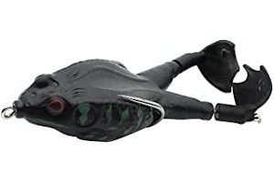 51k7eCvtanL._AC_UL320_