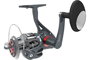 61D37bI2lmL._AC_UL320_