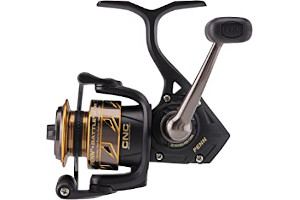 61J4ayLvHhL._AC_UL320_