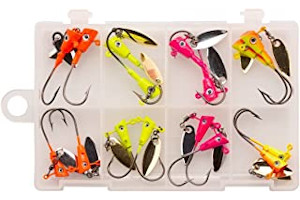 61Yz5pQOw0L._AC_UL320_