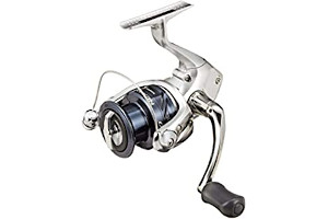 61Z8PR2IsfL._AC_UL320_