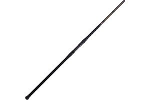 61mRyxc1AiL._AC_UL320_