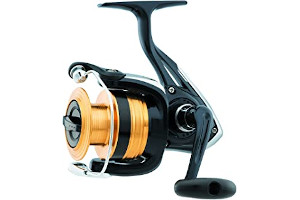 714vPj2zBjL._AC_UL320_