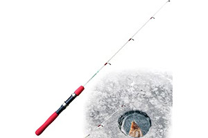 71JPiFz1G4L._AC_UL320_