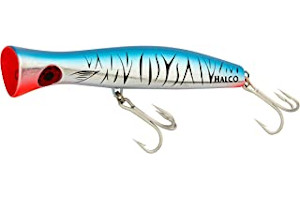 71b+xNt-w0L._AC_UL320_