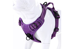 Arcadia Veret Strong