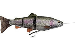 Cebo Para Truchas Arcoiris 71khw8LB-FL._AC_UL320_