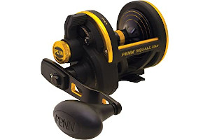 81-P9BkBLtL._AC_UL320_