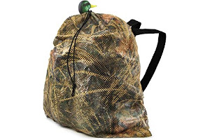 812OfVhaz3L._AC_UL320_